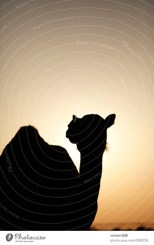 Desert Cab V Art Esthetic Contentment Camel Camel hump Camel market Head of a camel Warmth Hot Silhouette Abu Dhabi Sahara Summer vacation Sun Colour photo