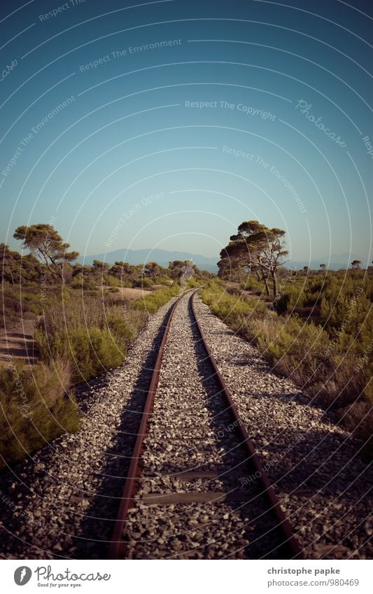 Never Stop Vacation & Travel Far-off places Freedom Summer Summer vacation Environment Nature Landscape Plant Sky Cloudless sky Horizon Beautiful weather