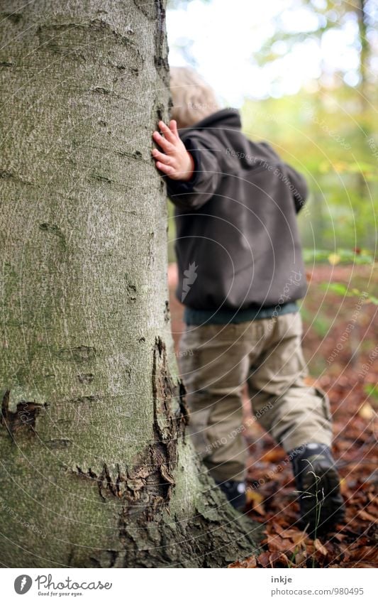 Little boy in the forest Playing Boy (child) Infancy Life 1 Human being 1 - 3 years Toddler Nature Winter Tree Tree trunk Forest Touch Going naturally Curiosity