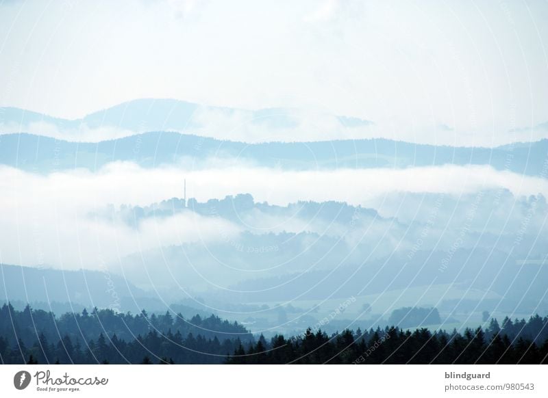 Before The Dawn Environment Nature Landscape Plant Air Sky Clouds Horizon Summer Climate Weather Bad weather Fog Forest Hill Mountain Cold Blue Black White Calm