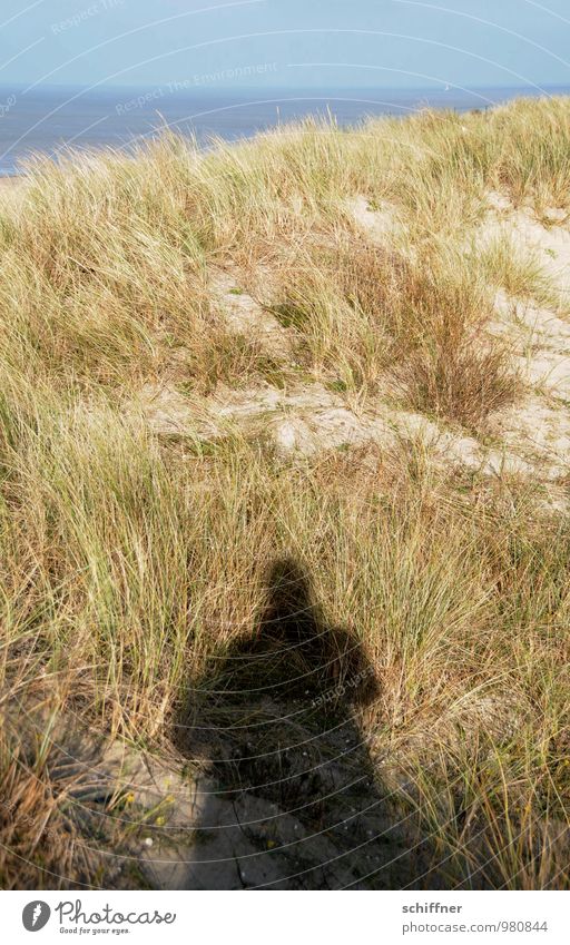 Trash! Belgian flotsam and jetsam Human being 1 Nature Landscape Plant Beautiful weather Grass Coast Ocean Blue Sandy beach Dune Marram grass Shadow Shadow play