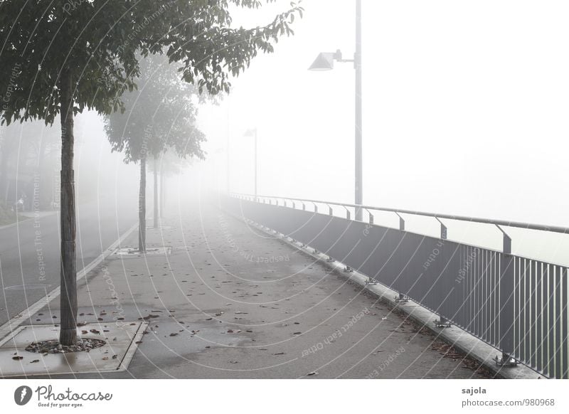 away into light - resp. fog wall Environment Autumn Bad weather Fog Tree Street Sidewalk Illuminate Handrail Street lighting Illuminating Point of light