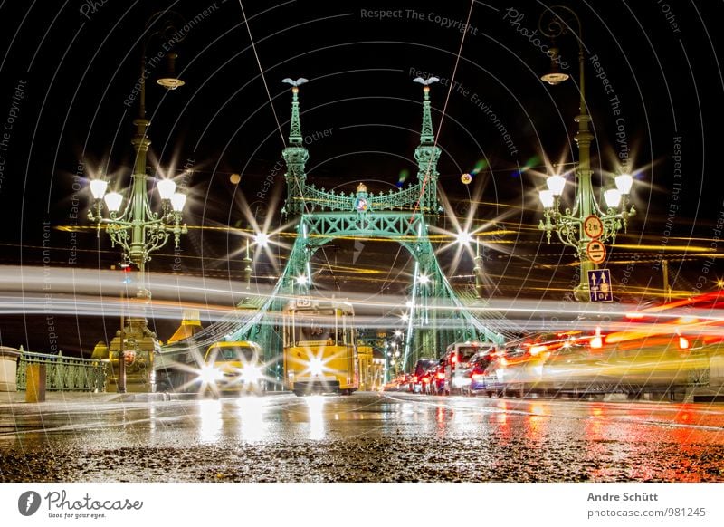 Budapest Town Old Szabadság híd Liberty Bridge freedom bridge Long exposure Regen County Wet Street life Hungary Colour photo