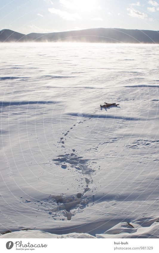 Snow stakes II Vacation & Travel Expedition Winter Winter vacation Hiking Joy Happy Joie de vivre (Vitality) Freedom Restful Calm Stagnating Ice Frost Frozen