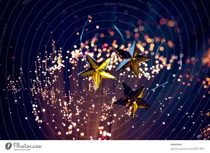 constellation Feasts & Celebrations Christmas & Advent Starry sky Constellation Star (Symbol) Christmas figure Christmas fairy lights Christmas decoration