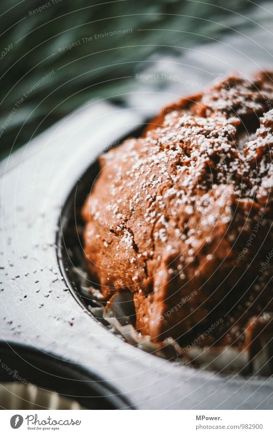 macromuffin Food Nutrition Fast food Bowl 1 Beautiful Muffin Baking tin Dough Chocolate cake Fresh Candy Delicious Appetite Colour photo Interior shot Close-up