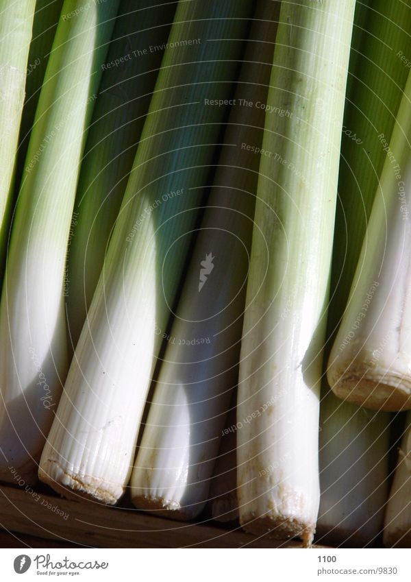 leeks Green Bulb flowers Nutrition Vegetable Leek Shadow leek soup Onion herbaceous plant