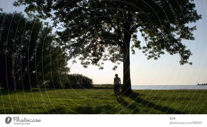 paradise II Relaxation Summer Grass Cowboy Peace standing sun breeze tree bush forest Americas earth world Human being Guy Stand chilling water horizon