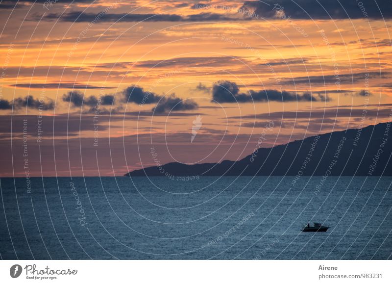 reverie Fishery Landscape Elements Air Water Sky Clouds Sunrise Sunset Mountain Ocean Mediterranean sea Island Ischia Fishing boat Motorboat Work and employment