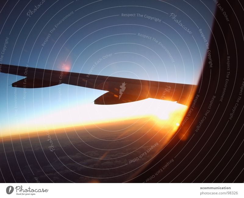 sunrise on plane Horizon Sky Sunrise Blue sky Covers (Construction) Airplane Joy Celestial bodies and the universe Wing bull eye aircraft