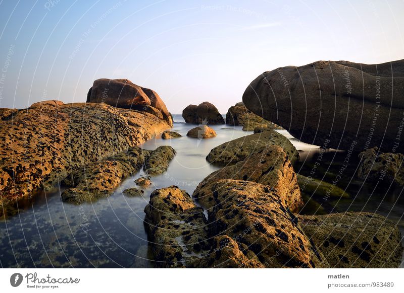 gentle giants Nature Landscape Water Sky Cloudless sky Horizon Sunrise Sunset Summer Weather Beautiful weather Rock Reef Ocean Soft Blue Brown Calm Galicia