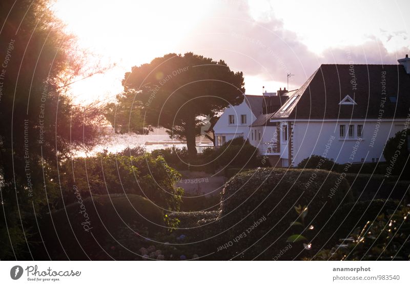 Coastal Cottage Luxury Living or residing House (Residential Structure) Dream house Garden Plant Sunlight Summer Tree Bushes Park Ocean Concarneau