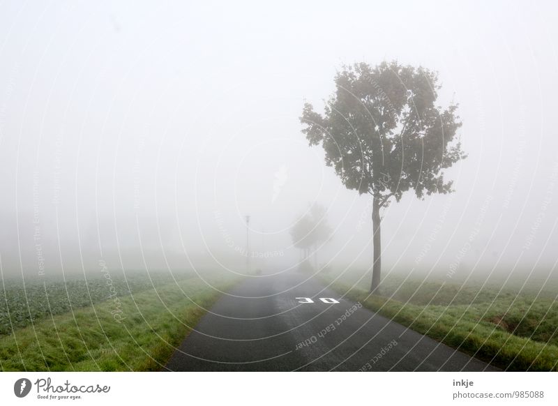 Zone 30 Environment Landscape Air Autumn Winter Bad weather Fog Tree Margin of a field Outskirts Small Town Deserted Transport Traffic infrastructure