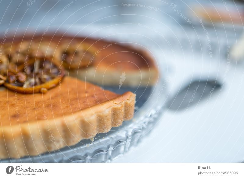 lemon ricotta tart Cake Crockery Bright Delicious Sweet To enjoy food Cake plate Cake server Tray Colour photo Exterior shot Deserted Shallow depth of field