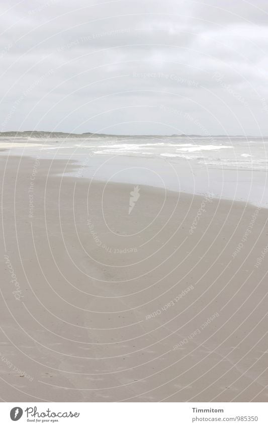 Yeah, it's flat. Vacation & Travel Environment Nature Elements Sand Water Sky Clouds Weather Beach North Sea Denmark Line Esthetic Simple Natural Brown Gray