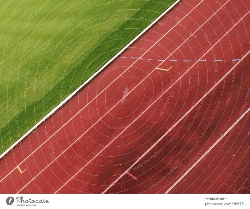 Loooos! Racecourse Stadium Track and Field Red Green White Tracks Tilt Hundred-metre sprint Jogging Endurance Thrashing Bonus Sports Playing go Walking run Line