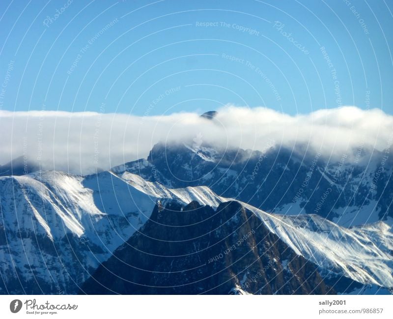 foggy Nature Landscape Sky Clouds Winter Beautiful weather Fog Snow Alps Mountain Peak Snowcapped peak Fantastic Far-off places Gigantic Cold Above Blue White