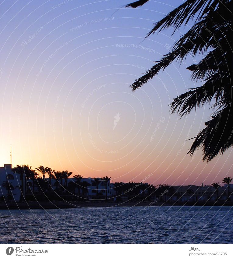 The sun is gone Sunset Palm tree Beach Ocean House (Residential Structure) Coast Africa Sky Water Blue Bay