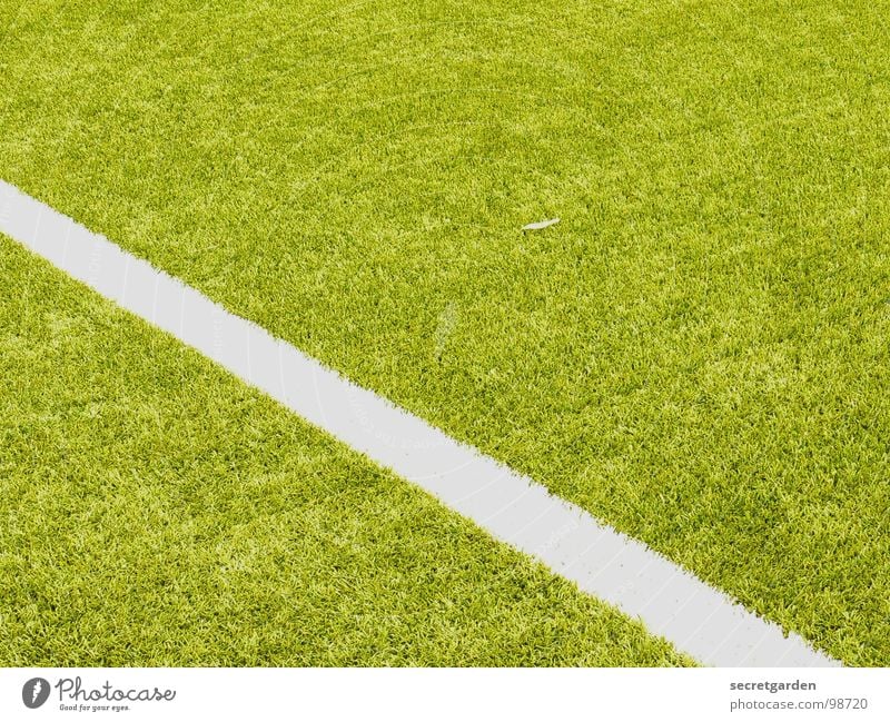 from left middle to right down Playing field Artificial lawn Fringe zone Section of image Sporting grounds Edge Deserted White Green Sports Soccer