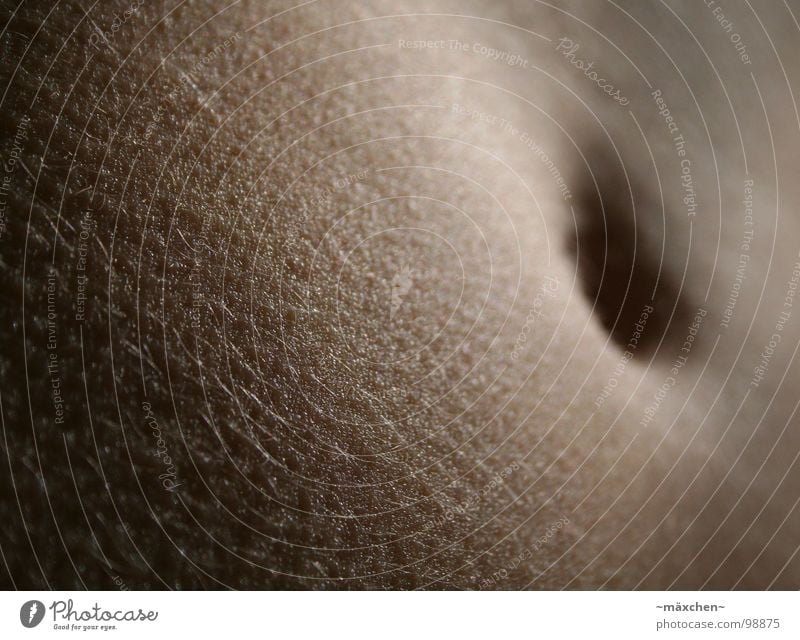 beautiful belly Navel Pore Beautiful Fat Thin Dark Depth of field Protect Macro (Extreme close-up) Close-up Stomach Skin Hair and hairstyles Smoothness Hollow