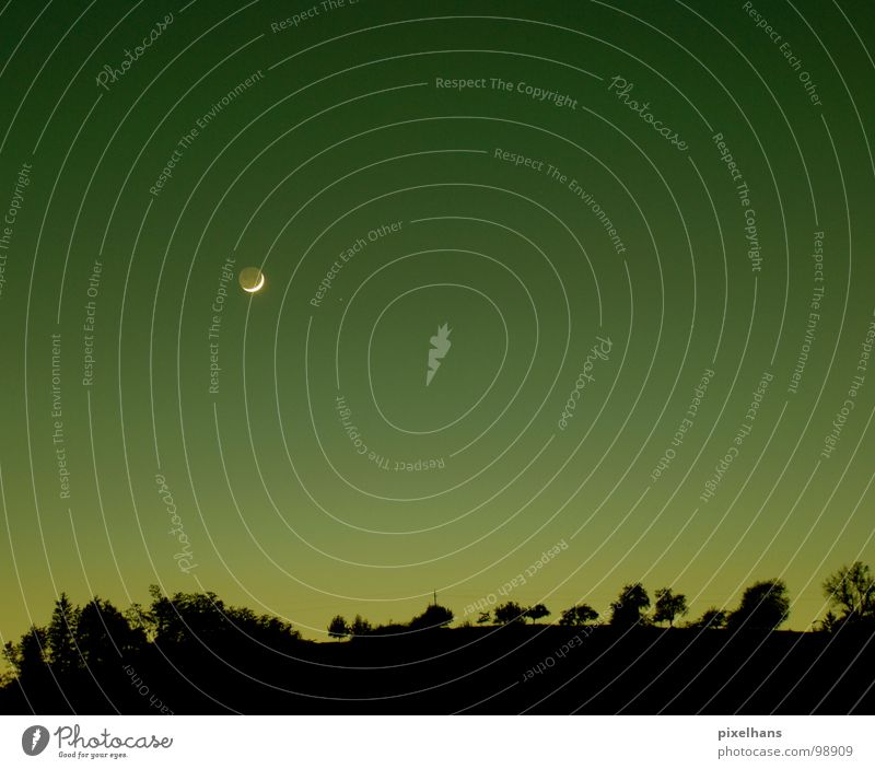 one night in the desert Green Yellow Black Night Tree Twilight Sunset Summer Dark Weather Moon Night sky Clear sky Silhouette Landscape Row of trees