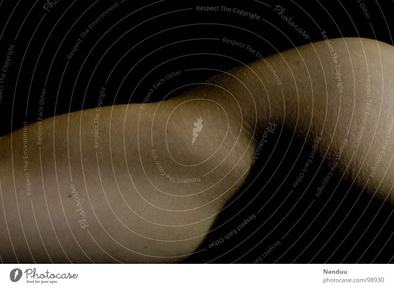 curves Body Skin Stomach Dark Round Soft Black Power Musculature Evening sun Shoulder Hip Upper arm Biceps Body building mucky Parts of body Hind quarters Basin