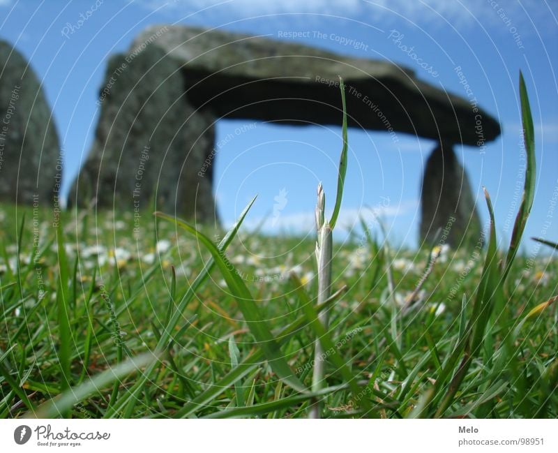 wales I Grass Green Blade of grass Menhir England Stone Blue rock formations