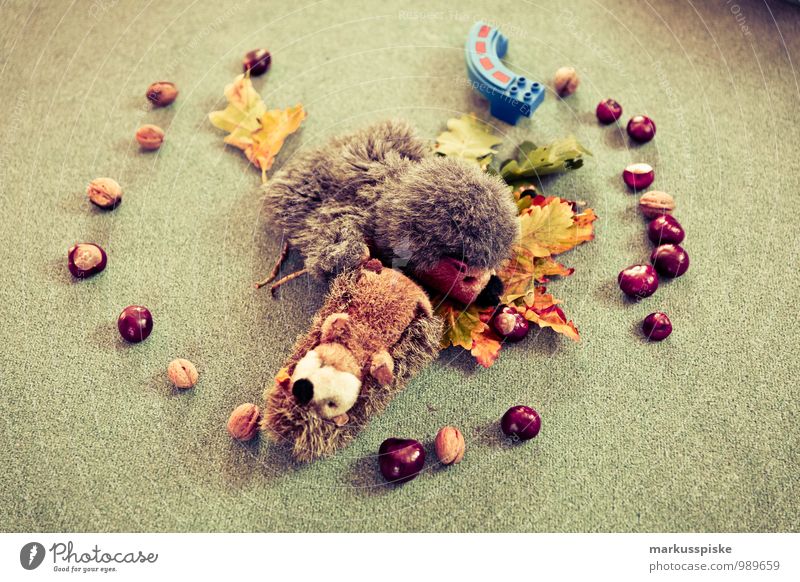 kita kindergarten toys Playing Parenting Kindergarten Child Study Group of children Nursery school child Hedgehog Leaf Circular Chestnut Plush Autumnal