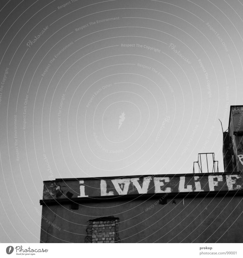 I sure do Spray Tagger House (Residential Structure) Culture Joie de vivre (Vitality) Roof Town Gray Meaning Concrete Steel Progress Love life Detail Joy