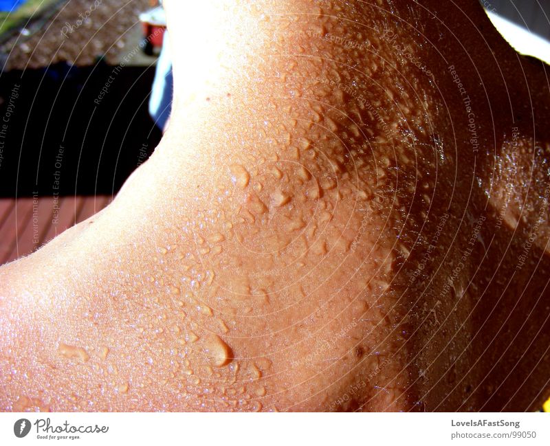 water droplets Summer Swimming pool Water back sunshine wet brown hair neck