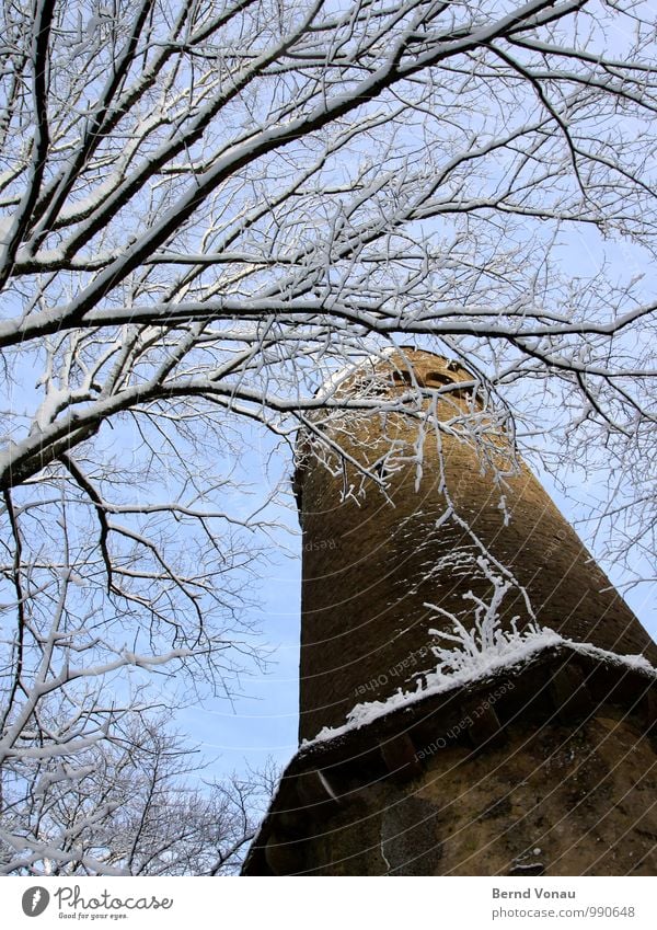 Floor upstairs. Winter Snow Sky Weather Tree Castle Tower Old Tall Blue White Frost Masonry To go for a walk Sharp-edged Wood Stone Building stone Forest Branch