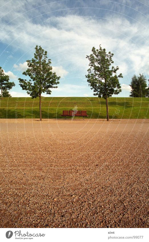 Calm before the storm Loneliness Sky Relaxation Park Summer Traffic infrastructure Garden Nature lonely alone ground tree trees quite Sun relaxing Bench place