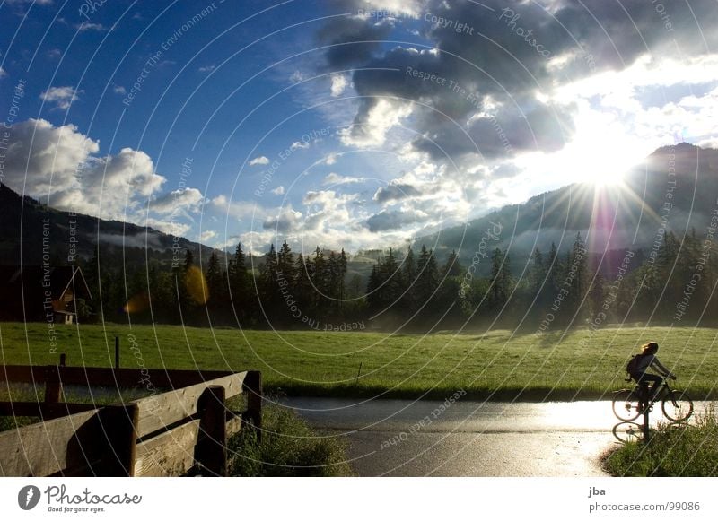 early in the morning Sunrise Lighting Morning Fresh Physics Clouds Wet Damp Rain Fence Wooden board Fir tree Meadow Barn Bicycle Grass Long Moody Summer Warmth