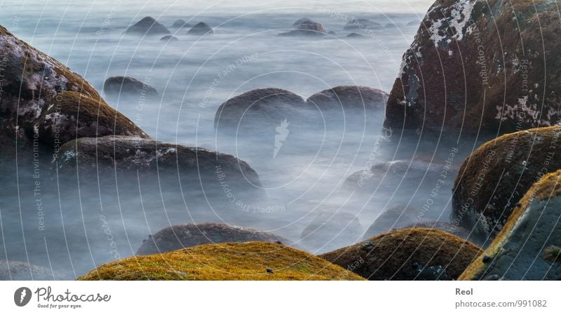 Mystical Environment Nature Elements Earth Water Waves Coast Beach Ocean Atlantic Ocean Stone Rock Rocky coastline Creepy Gray White Moss Silhouette Sea of fog