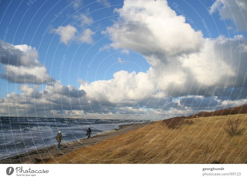 The Poel Light Poel Island Clouds Bank of clouds Coast Beach Sandy beach Marram grass Ocean Gale Storm Agitated Germany Beach dune Water Weather Wind Movement