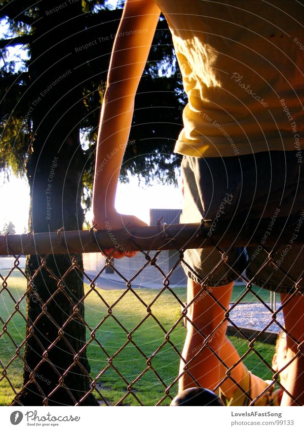 fence hopping Summer Shorts Light sun hot tree sunshine skinny