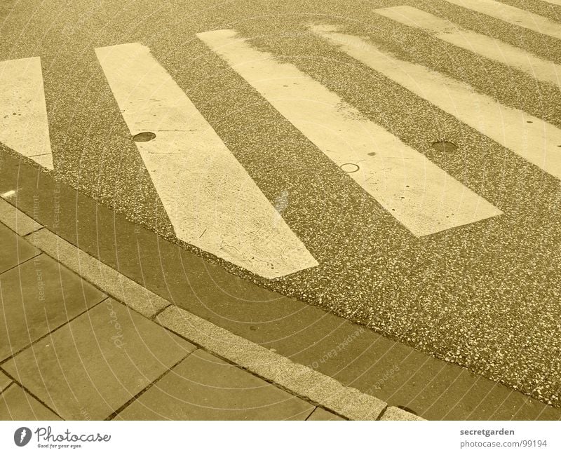 zebra Zebra crossing Curbside White Stripe Asphalt Deserted Room Traverse Pedestrian Going Sidewalk Symbols and metaphors Traffic infrastructure Warning label