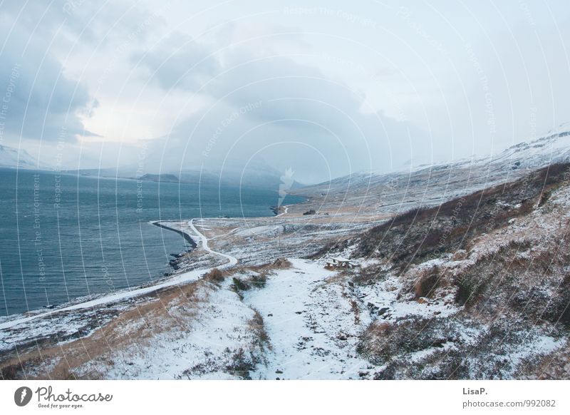 Curvy Environment Nature Landscape Plant Winter Climate Hill Mountain Coast Iceland Stagnating Calm Curve Street Clouds Colour photo Exterior shot Deserted