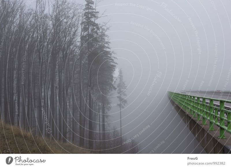 fog ride Sky Autumn Weather Fog Tree Forest Slope Bridge Manmade structures motorway bridge Bridge railing Road traffic Motoring Highway Car Concrete Metal