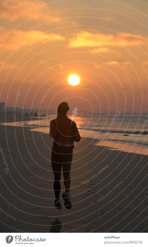 Belgian late sport Human being Masculine Man Adults 1 30 - 45 years Walking Running Jogging Beach Ocean Coast Sunset Hover Evening Evening sun Belgium