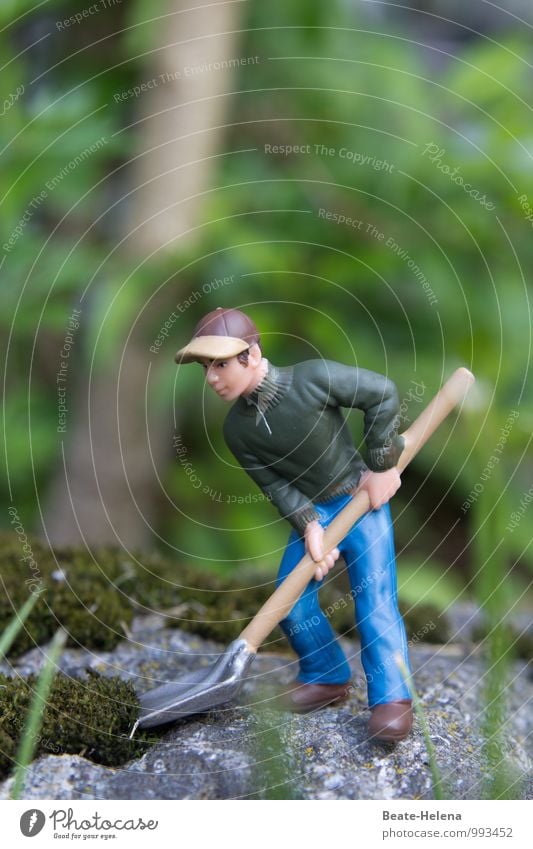 The woodruff in action at work. Work and employment Craftsperson Workplace Agriculture Forestry Masculine Tree Pants Jacket Footwear Cap Stone Blue Brown Green