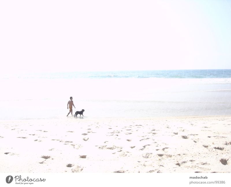 MR. GASSI & FRIENDS Man Dog Beach Overexposure White Innocent Ocean Summer Portugal Vacation & Travel Human being Air Physics Pleasant Healthy Animal walk Stand