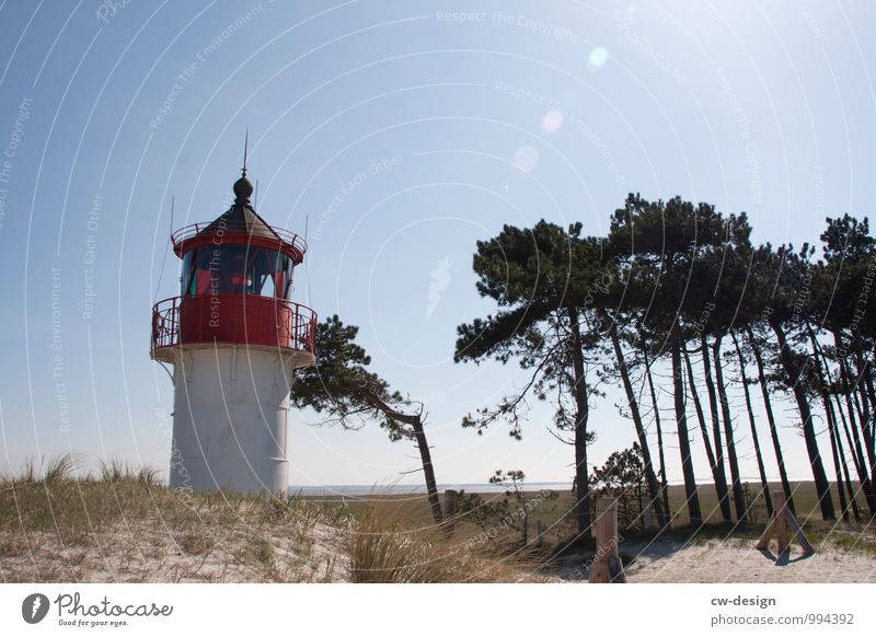 Lighthouse at Hiddensee Illuminate Beacon Beach duene Ocean Clouds coast Sky Exterior shot Colour photo Landscape Vacation & Travel Nature Deserted Sand Island