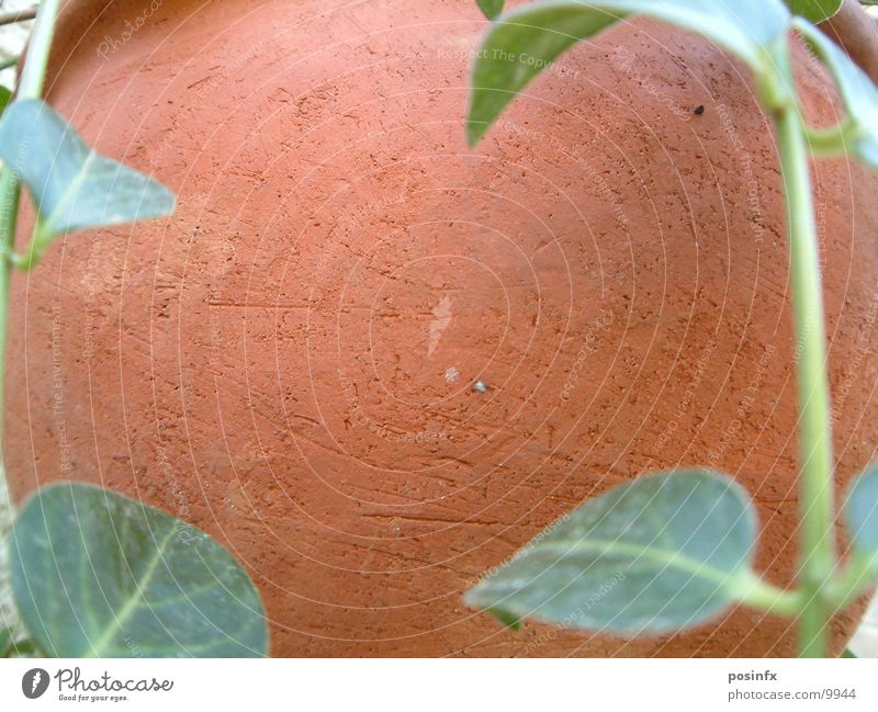 TERRACOTTA Flowerpot Things