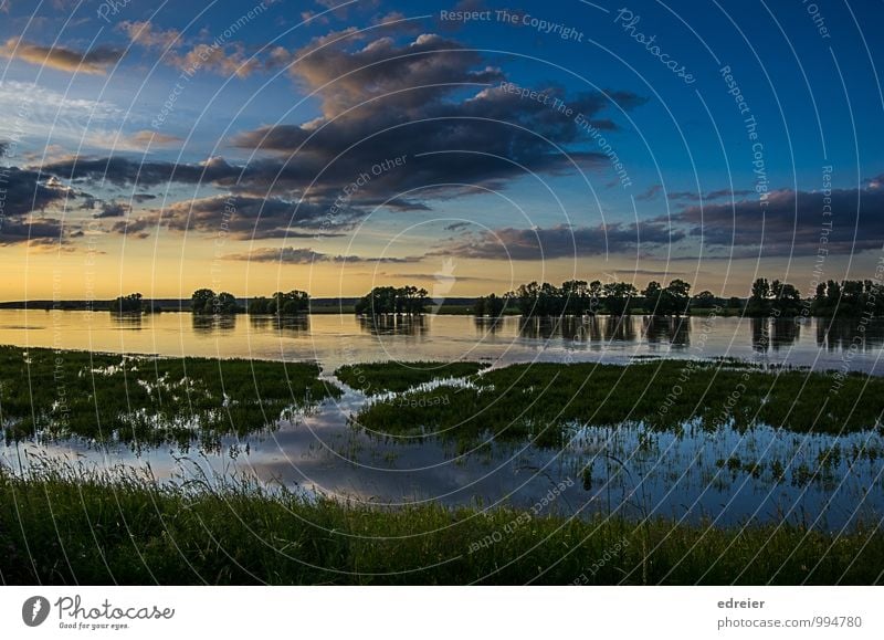 Evening atmosphere at the Elbe river Nature Landscape Water Sky Clouds Sunrise Sunset Tree River bank Schnakenburg Loneliness Flood Colour photo Exterior shot