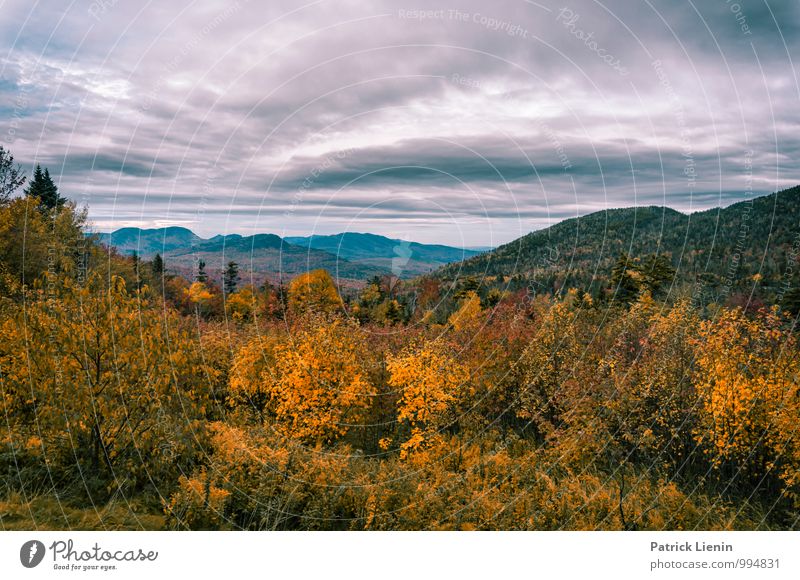 White Mountains in New Hampshire Well-being Contentment Senses Relaxation Calm Vacation & Travel Trip Adventure Far-off places Freedom Expedition Environment