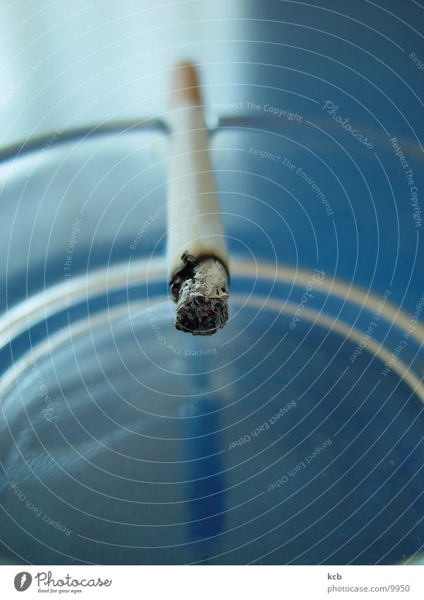 cigarette burns Cigarette Embers Ashtray Tobacco Smoke Things Search Close-up