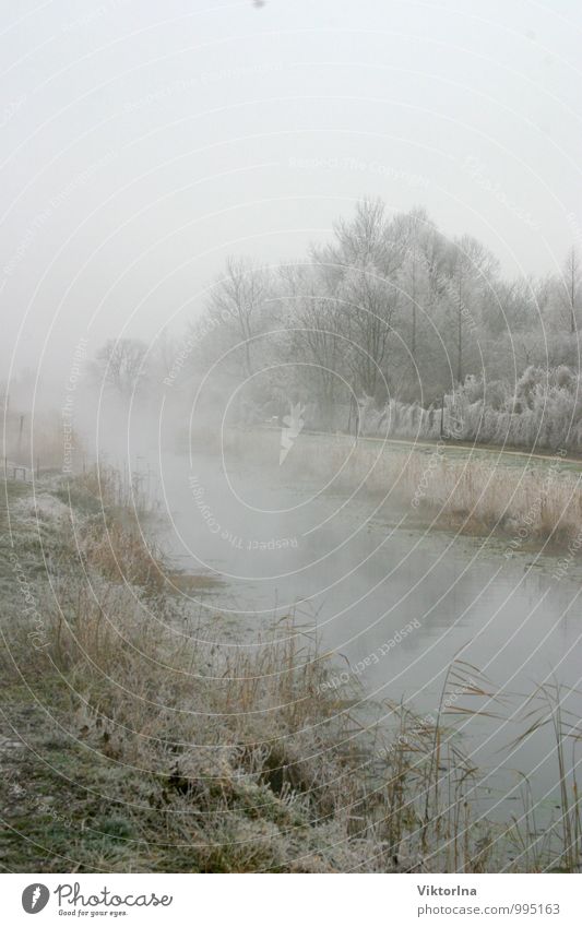 Winter at the river Nature Landscape Water Fog Snow Park River bank Hot springs Esthetic Fantastic Natural Emotions Calm Peace Happy Cold Hévíz Channel Hungary