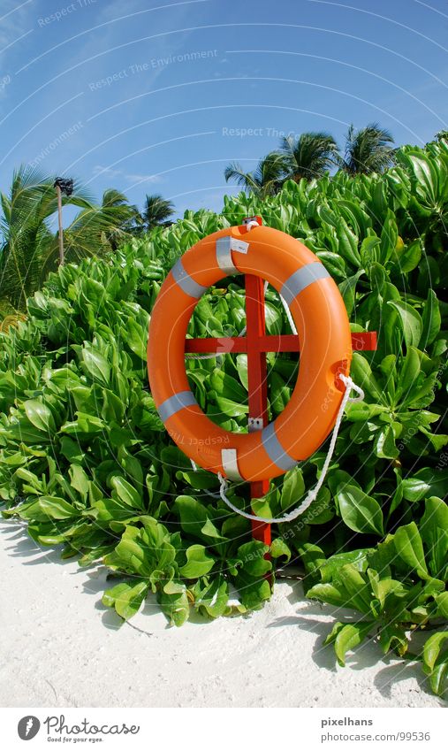 beach swimmer Green White Beach Palm tree Bushes Rescue Midday Hot Summer Maldives Blue Rope Circle Life belt Safety Blue sky Long shot Orange Circular