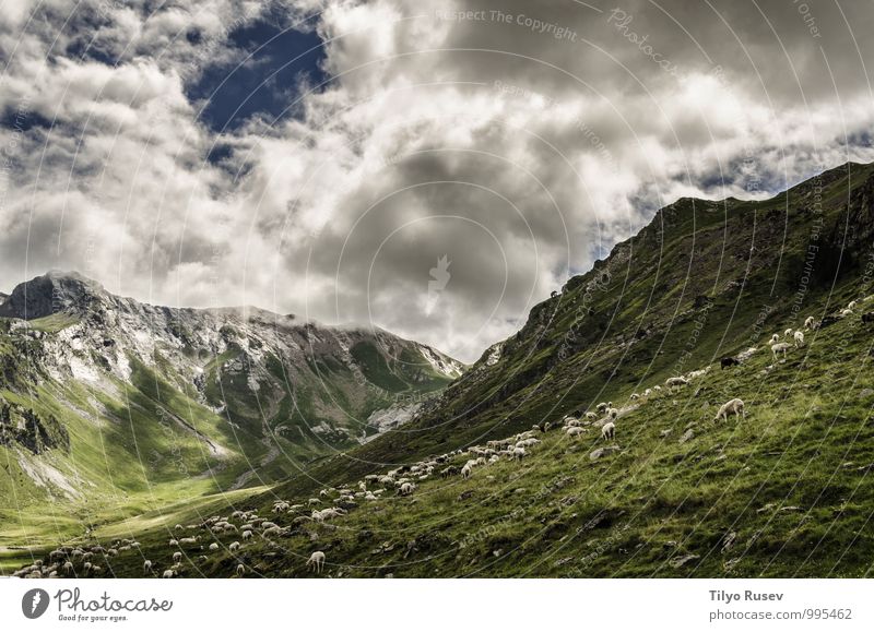 The valley Beautiful Mountain Environment Nature Landscape Sky Clouds Weather Bad weather Hill Natural Green Colour Beauty Photography Vantage point over